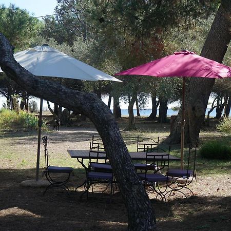 Joli Mas Au Bord De L'Etang De Thau Βίλα Marseillan  Εξωτερικό φωτογραφία