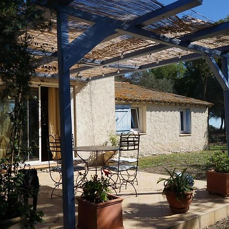 Joli Mas Au Bord De L'Etang De Thau Βίλα Marseillan  Εξωτερικό φωτογραφία