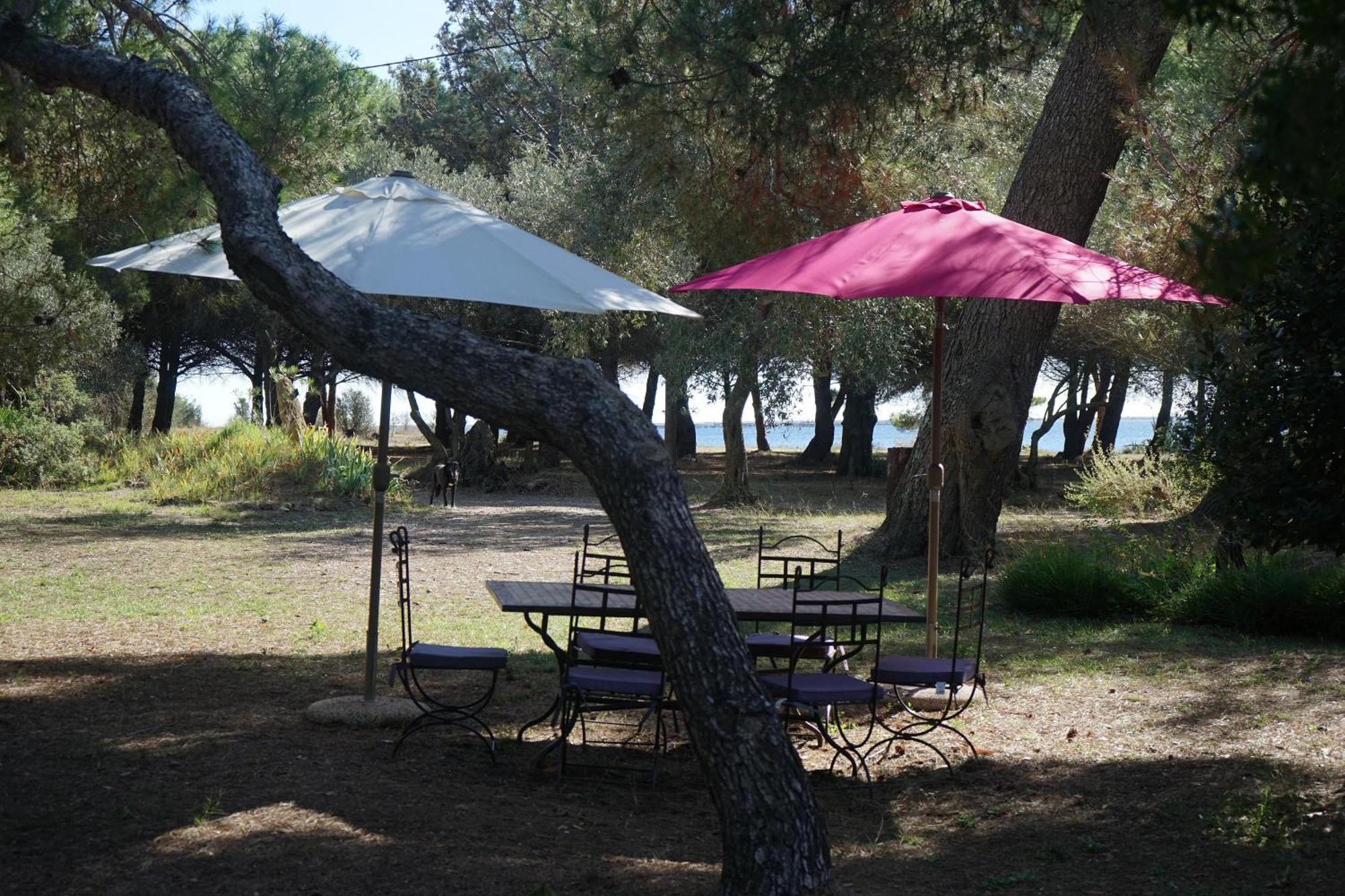 Joli Mas Au Bord De L'Etang De Thau Βίλα Marseillan  Εξωτερικό φωτογραφία