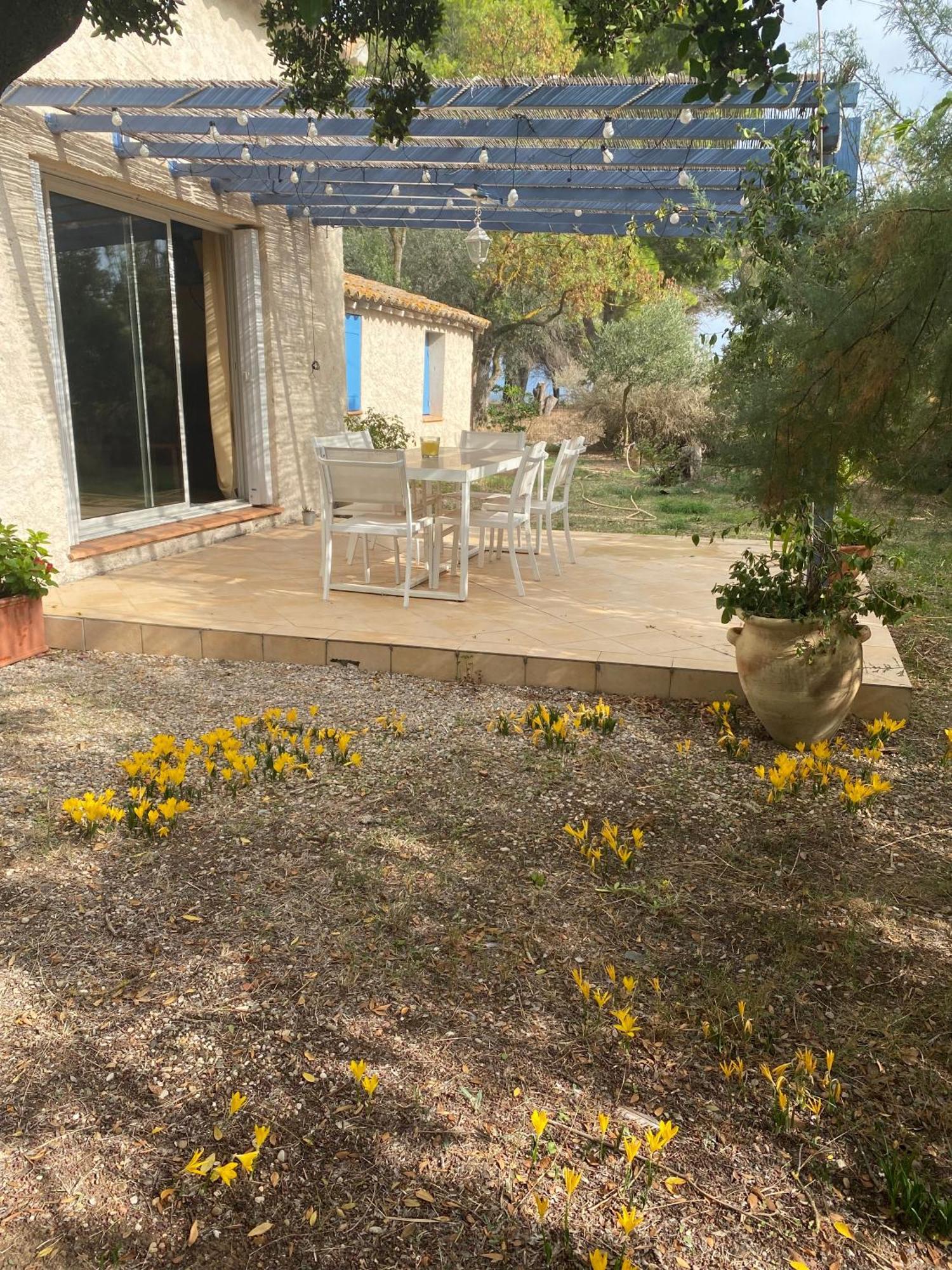 Joli Mas Au Bord De L'Etang De Thau Βίλα Marseillan  Εξωτερικό φωτογραφία